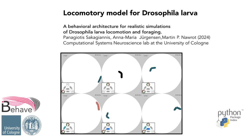 Locomotory model for Drosophila larva thumbnail