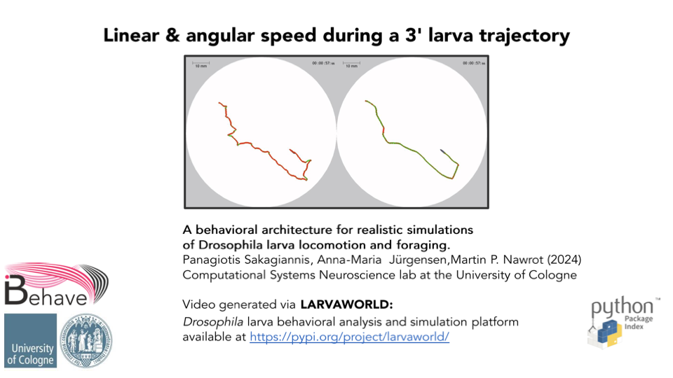 Linear & angular speed during a 3' larva trajectory thumbnail