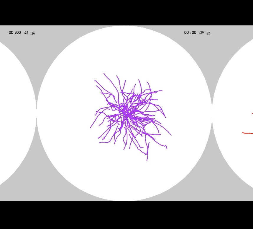 Nutritional state - dependent dispersal thumbnail