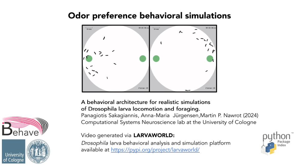 Odor preference behavioral simulations thumbnail