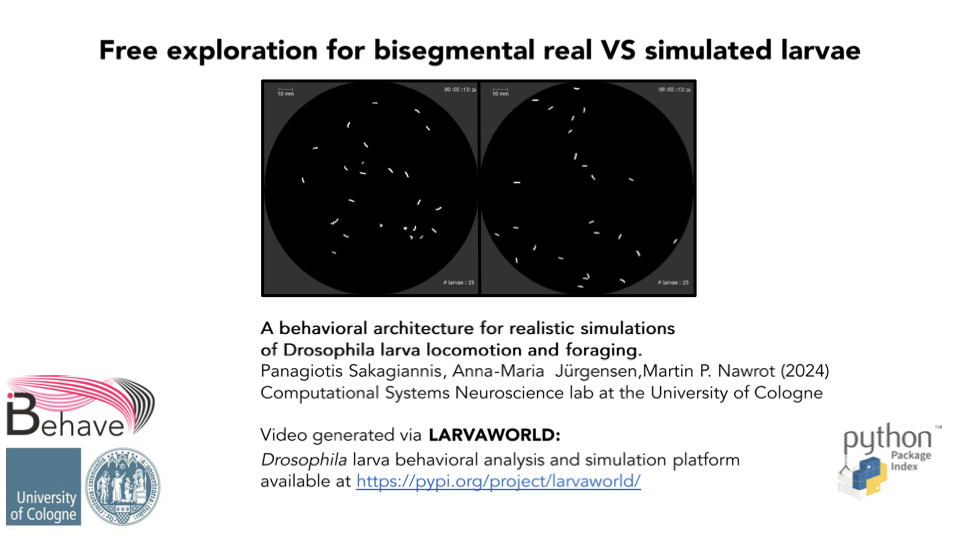 Free exploration for bisegmental real VS simulated larvae thumbnail