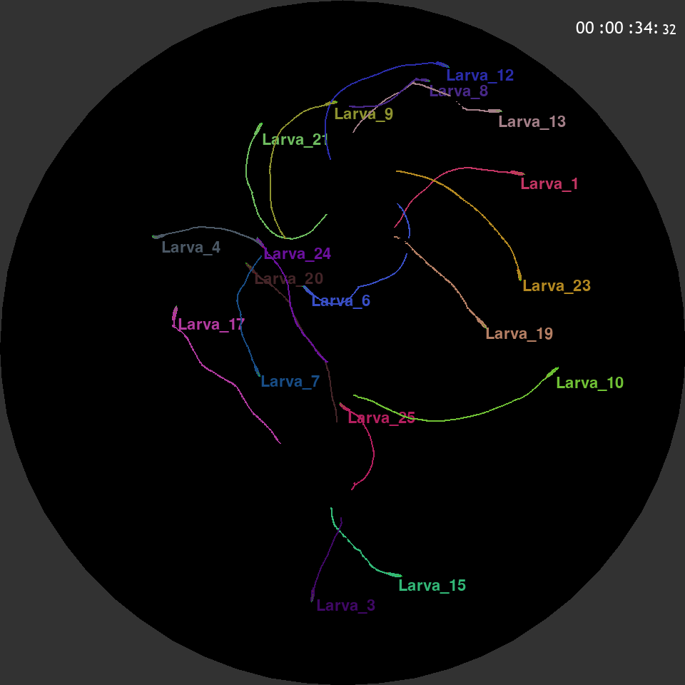 Visualization Examples