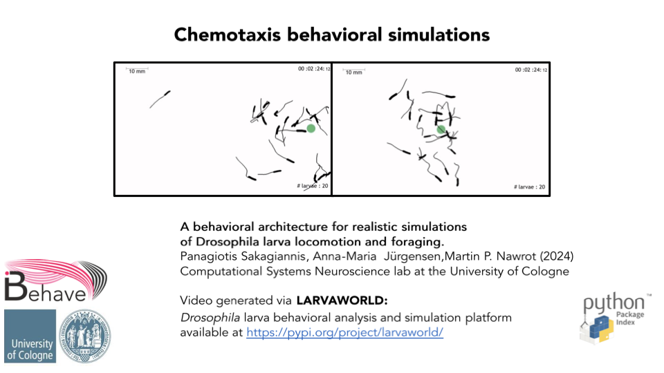 Chemotaxis behavioral simulations thumbnail